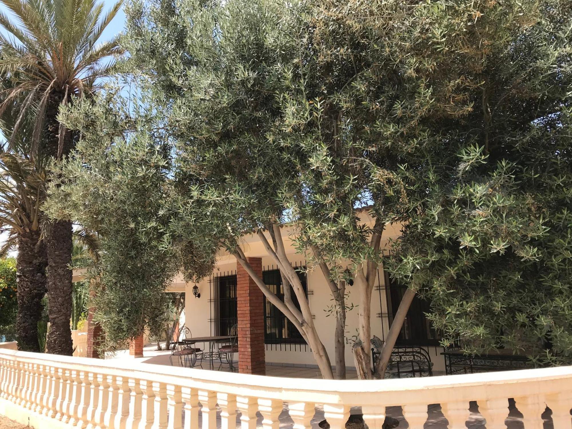 Tiguimi Vacances - Oasis Villas, Cadre Naturel Et Vue Montagne Agadir Zewnętrze zdjęcie