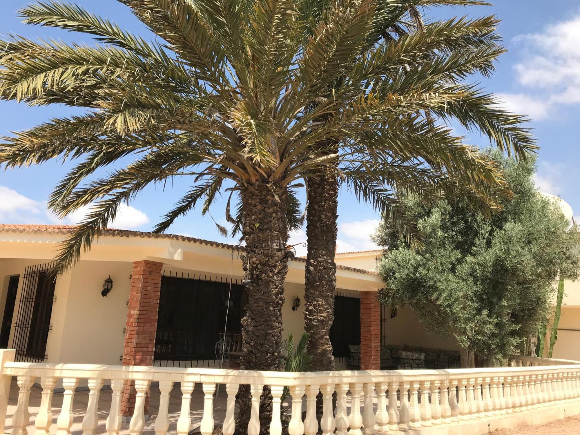 Tiguimi Vacances - Oasis Villas, Cadre Naturel Et Vue Montagne Agadir Zewnętrze zdjęcie