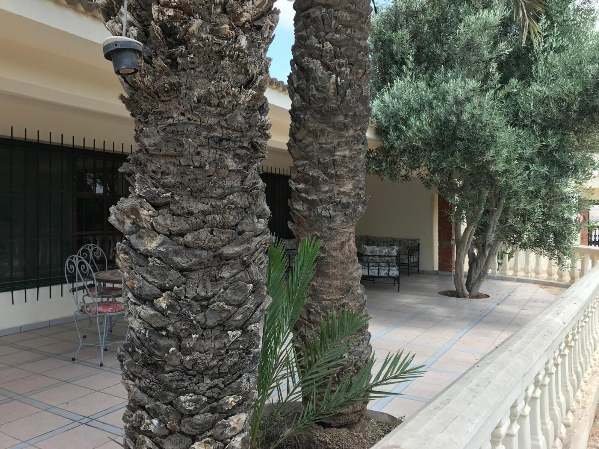 Tiguimi Vacances - Oasis Villas, Cadre Naturel Et Vue Montagne Agadir Zewnętrze zdjęcie