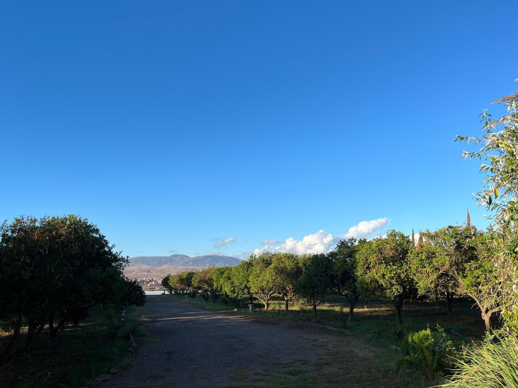 Tiguimi Vacances - Oasis Villas, Cadre Naturel Et Vue Montagne Agadir Zewnętrze zdjęcie