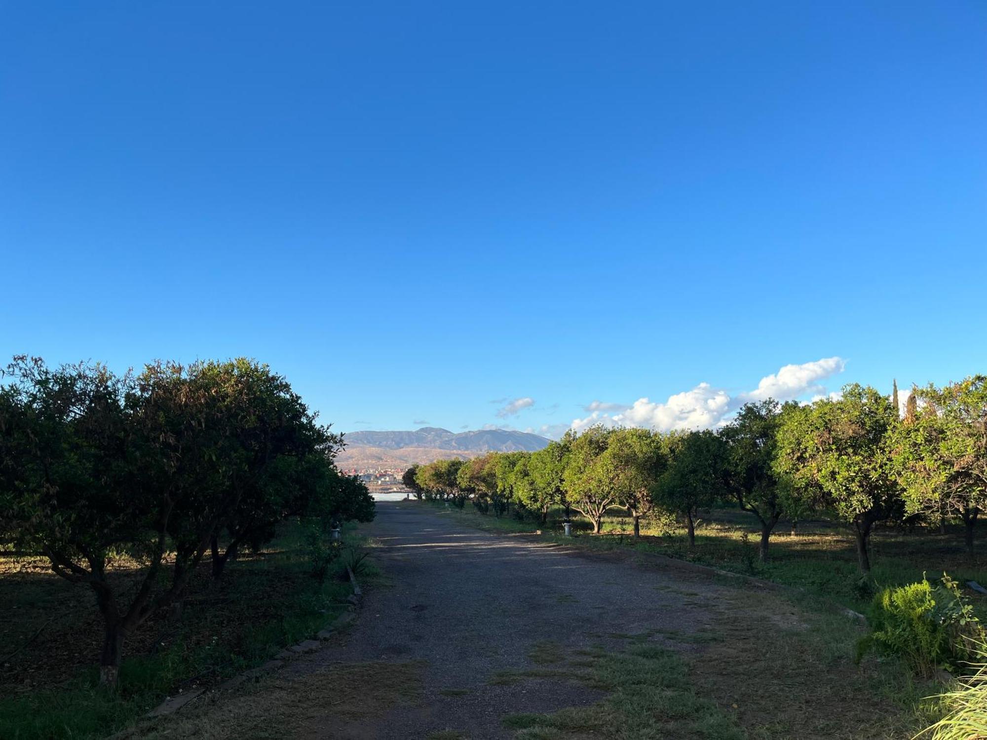 Tiguimi Vacances - Oasis Villas, Cadre Naturel Et Vue Montagne Agadir Zewnętrze zdjęcie